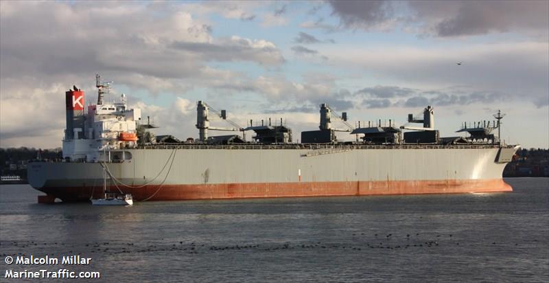 sendai spirit (Wood Chips Carrier) - IMO 9370824, MMSI 370768000, Call Sign 3FYY9 under the flag of Panama