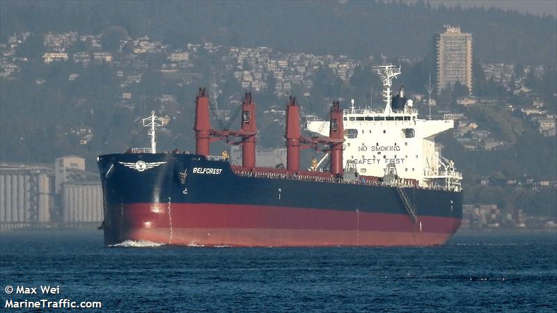 belforest (Bulk Carrier) - IMO 9698185, MMSI 374060000, Call Sign H8FJ under the flag of Panama