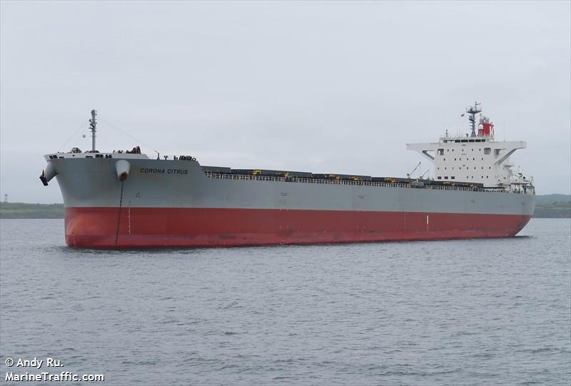 corona citrus (Bulk Carrier) - IMO 9851311, MMSI 431407000, Call Sign 7KFP under the flag of Japan