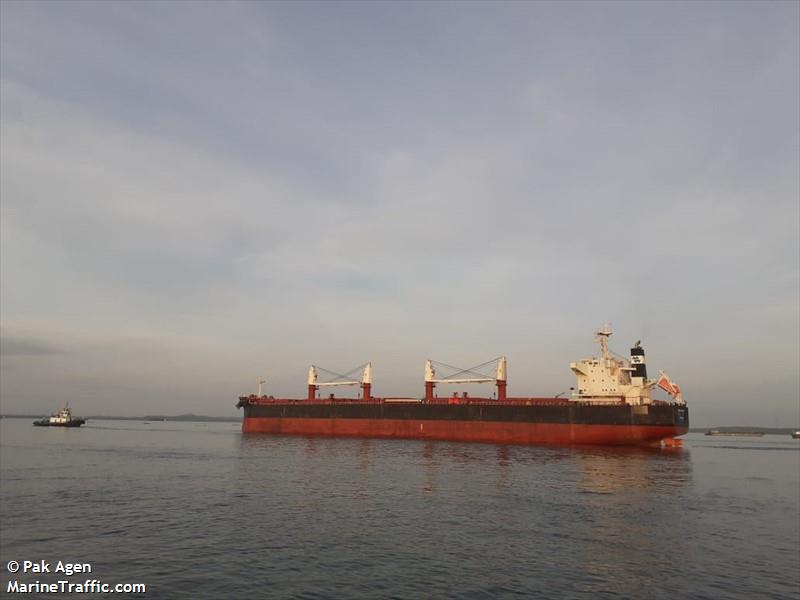 great century (Bulk Carrier) - IMO 9796999, MMSI 477021700, Call Sign VRQT3 under the flag of Hong Kong