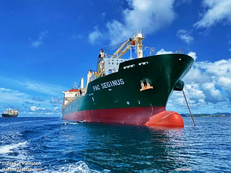 pac seginus (General Cargo Ship) - IMO 9443358, MMSI 563103900, Call Sign 9V6225 under the flag of Singapore