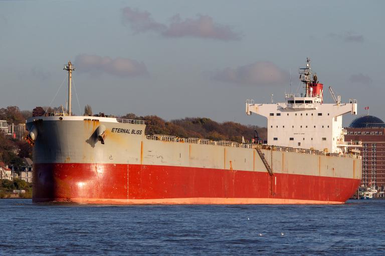 eternal bliss (Bulk Carrier) - IMO 9433626, MMSI 565359000, Call Sign 9V8264 under the flag of Singapore