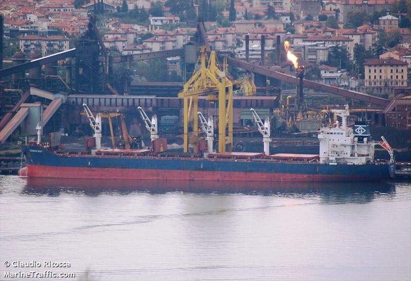 brilliance (Bulk Carrier) - IMO 9450715, MMSI 351608000, Call Sign 3FTF3 under the flag of Panama