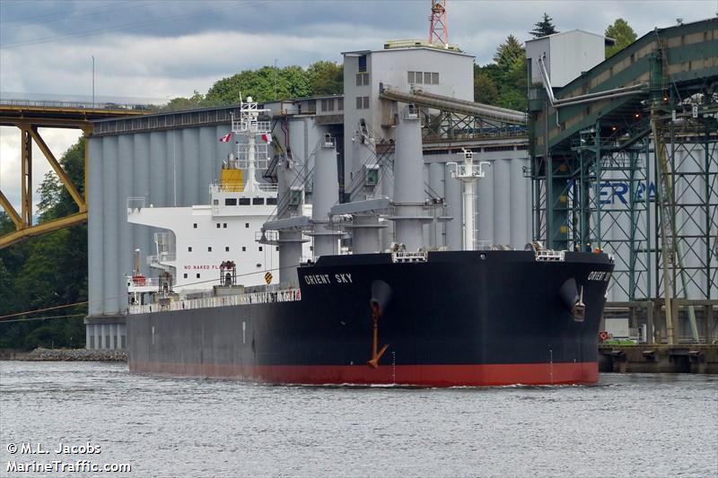 orient sky (Bulk Carrier) - IMO 9792022, MMSI 356309000, Call Sign 3FUK6 under the flag of Panama