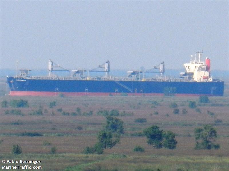 alstroemeria (Wood Chips Carrier) - IMO 9370202, MMSI 357389000, Call Sign 3FCK5 under the flag of Panama