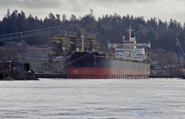 navios prosperity (Bulk Carrier) - IMO 9392420, MMSI 372895000, Call Sign 3ELA8 under the flag of Panama