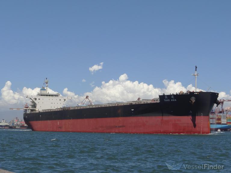 taho asia (Bulk Carrier) - IMO 9805788, MMSI 374640000, Call Sign 3EVS5 under the flag of Panama