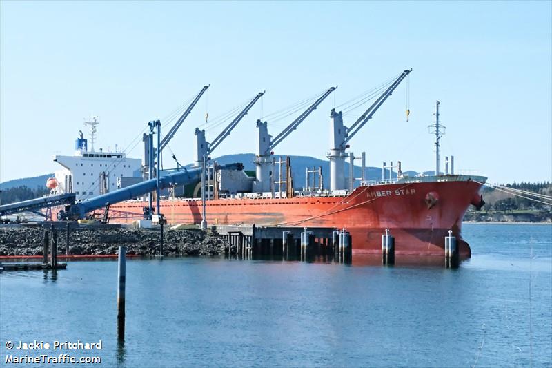 amber star (Bulk Carrier) - IMO 9801160, MMSI 374982000, Call Sign H9DI under the flag of Panama