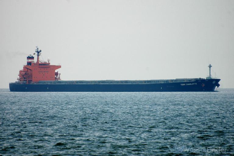 prabhu sakhawat (Bulk Carrier) - IMO 9311141, MMSI 419099500, Call Sign AVES under the flag of India