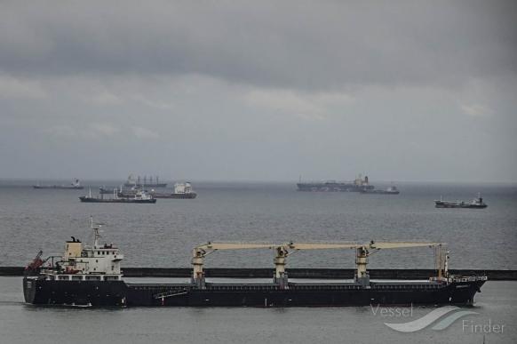 hongsheng 7 (Bulk Carrier) - IMO 9607605, MMSI 477353400, Call Sign VRIW6 under the flag of Hong Kong