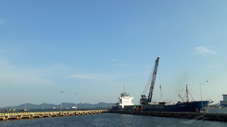 mv chitose (General Cargo Ship) - IMO , MMSI 525020345, Call Sign JZER under the flag of Indonesia