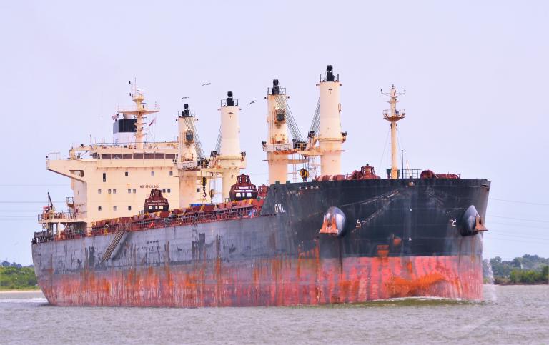 owl (Bulk Carrier) - IMO 9441386, MMSI 538004337, Call Sign V7WM4 under the flag of Marshall Islands