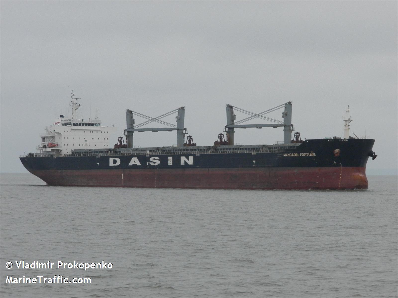 mandarin fortune (Bulk Carrier) - IMO 9478169, MMSI 563838000, Call Sign S6BQ7 under the flag of Singapore