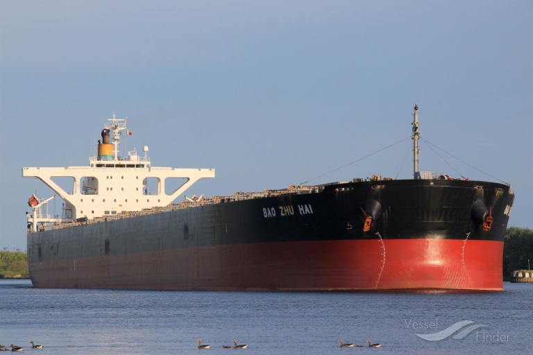 winning loyalty (Bulk Carrier) - IMO 9314052, MMSI 564558000, Call Sign 9V3699 under the flag of Singapore