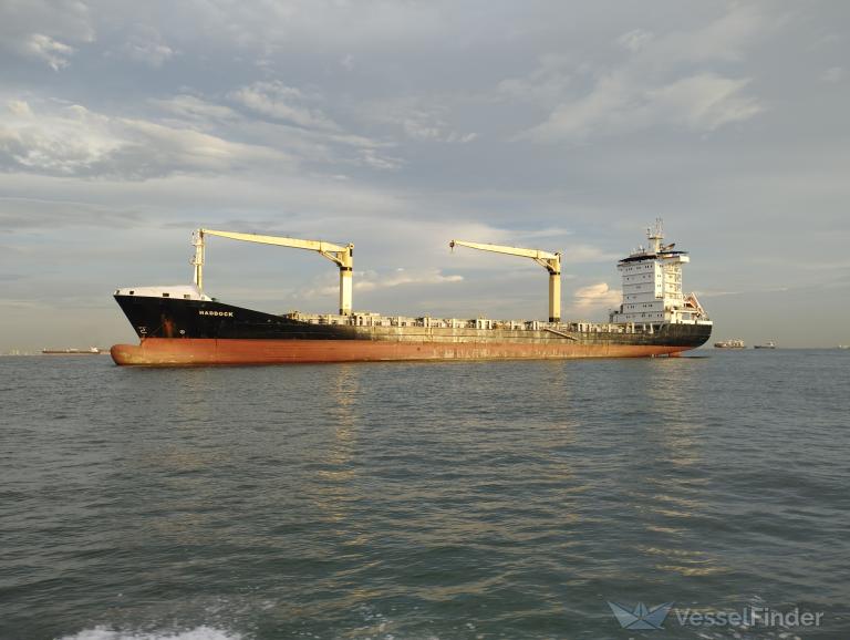 haddock (Container Ship) - IMO 9306263, MMSI 636019762, Call Sign D5WA7 under the flag of Liberia