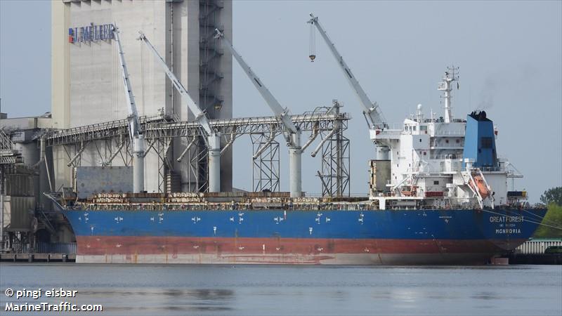 great forest (General Cargo Ship) - IMO 9419254, MMSI 636020077, Call Sign A8UQ7 under the flag of Liberia