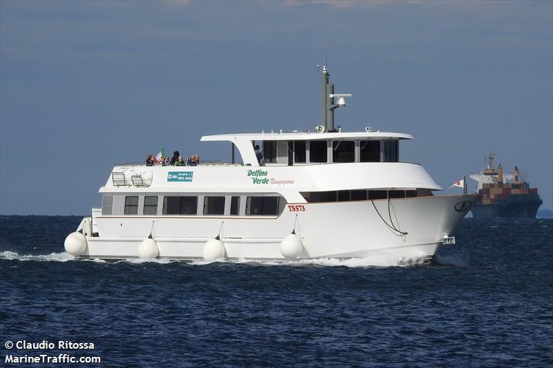 delfino verde deluxe (Passenger ship) - IMO , MMSI 247381200, Call Sign INMW2 under the flag of Italy