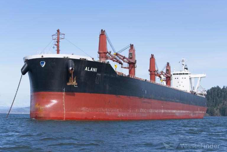 alani (Bulk Carrier) - IMO 9782352, MMSI 249726000, Call Sign 9HA4356 under the flag of Malta