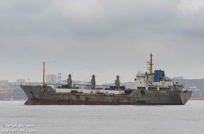 sierra (Refrigerated Cargo Ship) - IMO 8216198, MMSI 273358510, Call Sign UAID under the flag of Russia