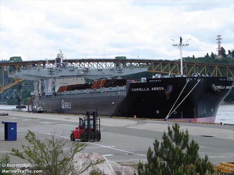 corella arrow (General Cargo Ship) - IMO 9385477, MMSI 311018800, Call Sign C6XQ2 under the flag of Bahamas