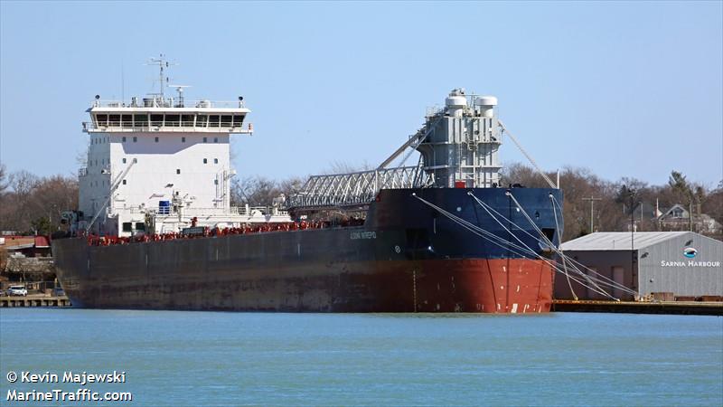 algoma intrepid (Self Discharging Bulk Carrier) - IMO 9773387, MMSI 316043882, Call Sign VABC under the flag of Canada