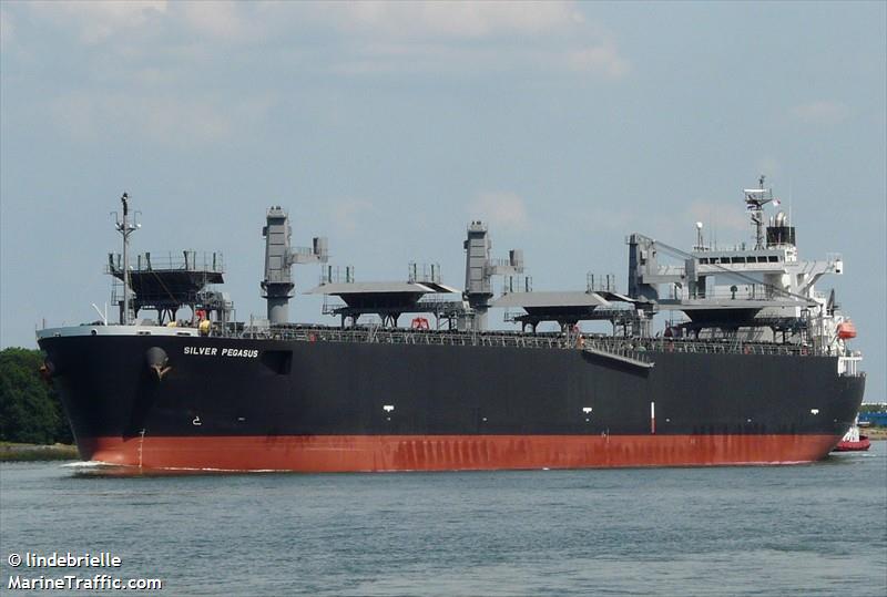 silver pegasus (Wood Chips Carrier) - IMO 9343455, MMSI 352293000, Call Sign 3ENT4 under the flag of Panama