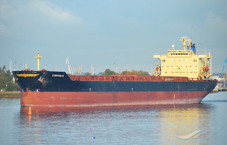 oceanic godness (Bulk Carrier) - IMO 9176747, MMSI 353849000, Call Sign 3FEG5 under the flag of Panama