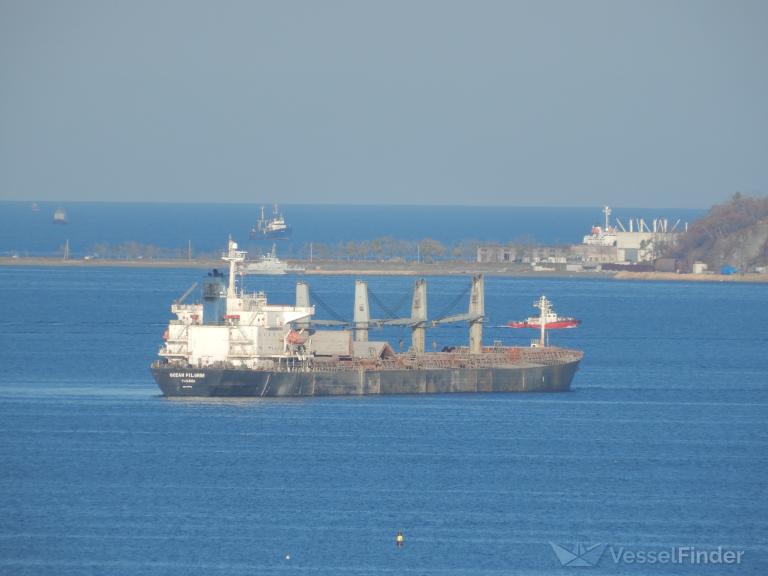 ocean pilgrim (Bulk Carrier) - IMO 9254458, MMSI 355287000, Call Sign 3EYG4 under the flag of Panama