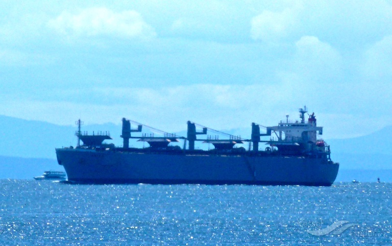magic pearl (Wood Chips Carrier) - IMO 9145683, MMSI 356508000, Call Sign 3FHJ6 under the flag of Panama