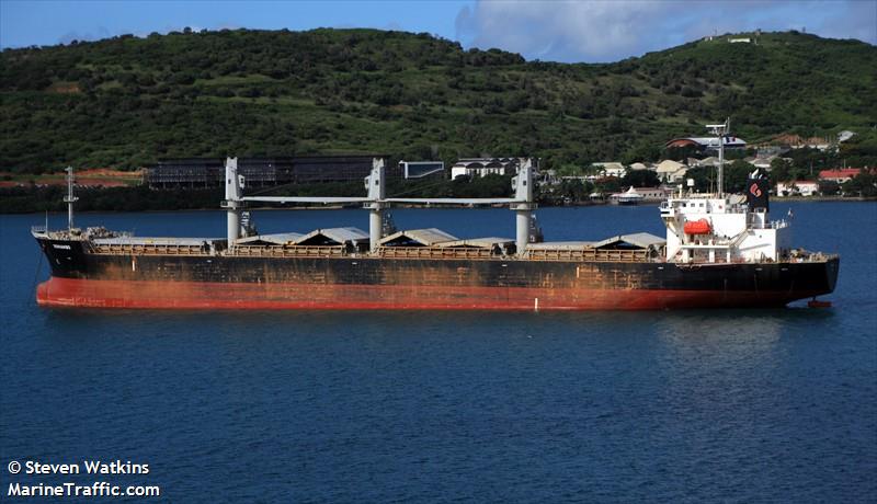 doniambo (General Cargo Ship) - IMO 9333101, MMSI 372543000, Call Sign 3EJJ9 under the flag of Panama