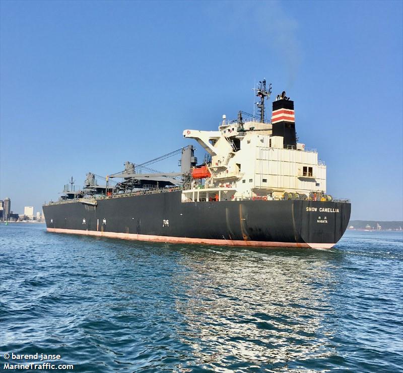 snow camellia (Wood Chips Carrier) - IMO 9820697, MMSI 431570000, Call Sign 7KDQ under the flag of Japan