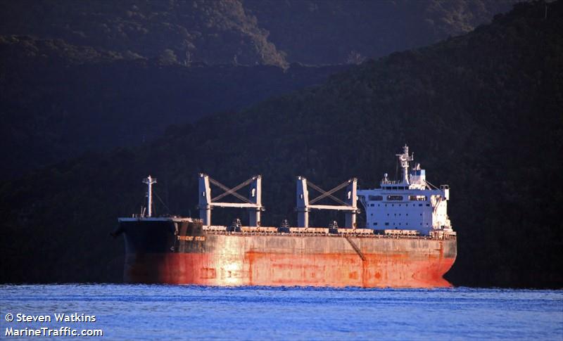 trident star (Bulk Carrier) - IMO 9707637, MMSI 477347100, Call Sign VROR5 under the flag of Hong Kong