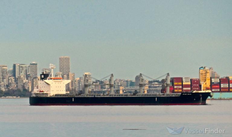 star gaia (Bulk Carrier) - IMO 9853618, MMSI 563097200, Call Sign 9V6344 under the flag of Singapore