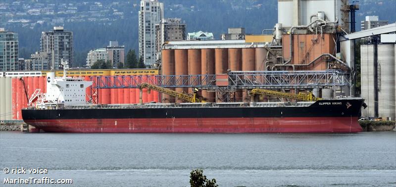 orient violet (Bulk Carrier) - IMO 9727326, MMSI 566149000, Call Sign 9V2851 under the flag of Singapore
