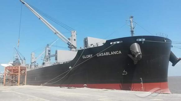 la tonda (Bulk Carrier) - IMO 9748485, MMSI 205717000, Call Sign ONIY under the flag of Belgium