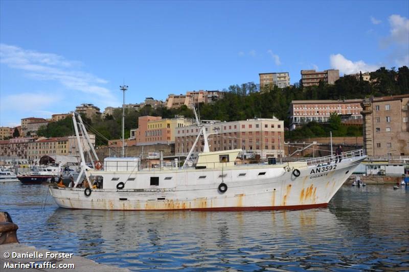 gigante (Fishing vessel) - IMO , MMSI 247083540, Call Sign INGI under the flag of Italy