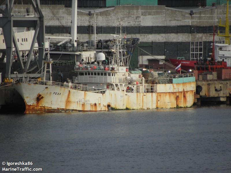 real (Fishing Vessel) - IMO 8938435, MMSI 273390570, Call Sign UIPQ under the flag of Russia
