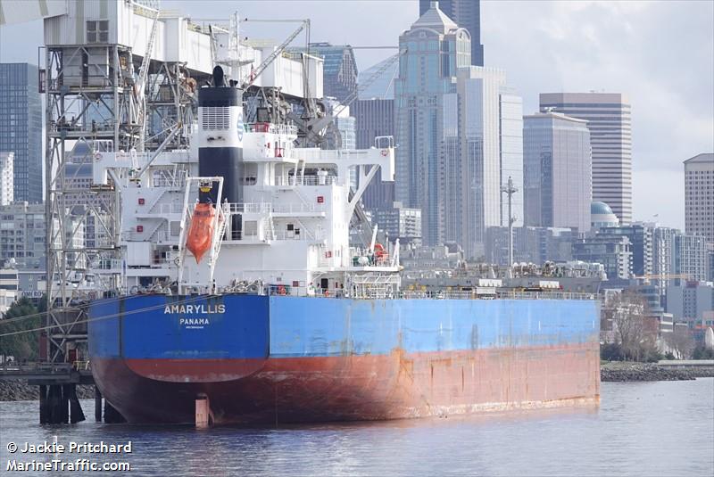 amaryllis (Bulk Carrier) - IMO 9840491, MMSI 353328000, Call Sign HOZF under the flag of Panama