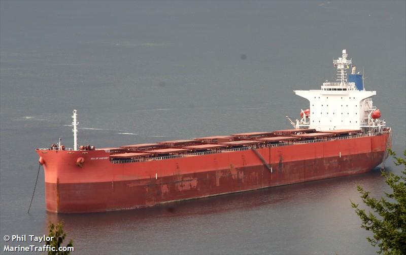 lily 2 (General Cargo Ship) - IMO 8656582, MMSI 353357000, Call Sign 3ERS7 under the flag of Panama