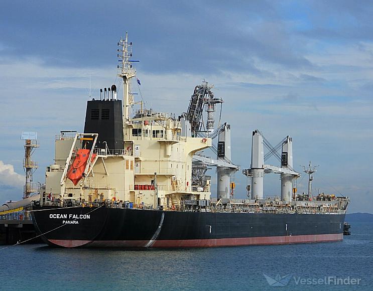 ocean falcon (Bulk Carrier) - IMO 9595163, MMSI 357656000, Call Sign 3FOS6 under the flag of Panama