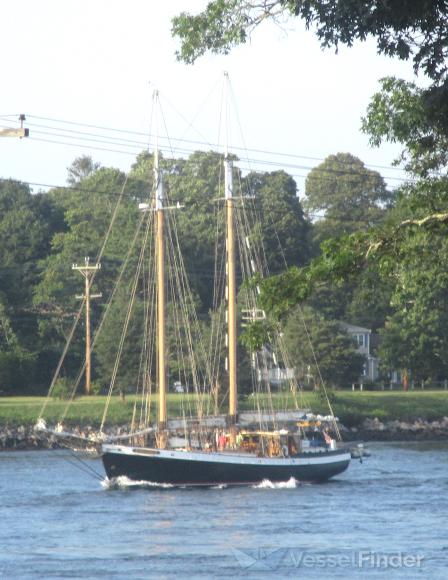 tree of life (Sailing vessel) - IMO , MMSI 366841360, Call Sign WDG4696 under the flag of United States (USA)