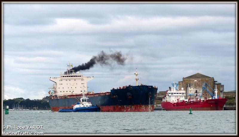 navios camelia (Bulk Carrier) - IMO 9465784, MMSI 370377000, Call Sign 3EWI7 under the flag of Panama
