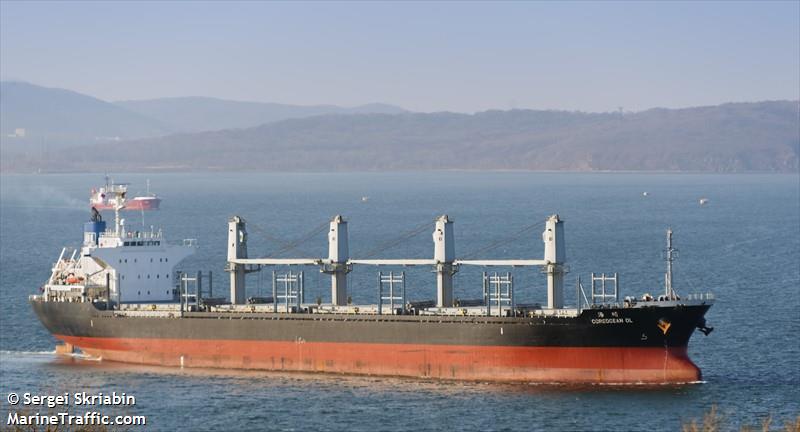 coreocean ol (Bulk Carrier) - IMO 9519212, MMSI 372878000, Call Sign 3FKW9 under the flag of Panama