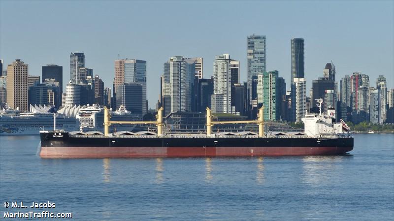 tai summit (Bulk Carrier) - IMO 9727144, MMSI 374458000, Call Sign 3FZX4 under the flag of Panama