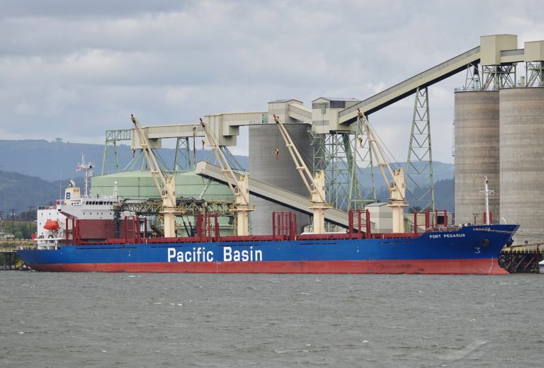 port pegasus (Bulk Carrier) - IMO 9284001, MMSI 477280900, Call Sign VRAA8 under the flag of Hong Kong
