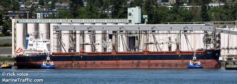 thetis (Bulk Carrier) - IMO 9648855, MMSI 538006865, Call Sign V7SH5 under the flag of Marshall Islands