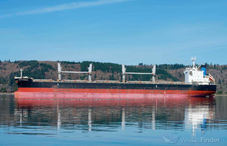 indigo breeze (Bulk Carrier) - IMO 9760160, MMSI 538007298, Call Sign V7FC8 under the flag of Marshall Islands