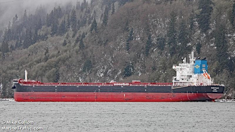 golden fellow (Bulk Carrier) - IMO 9854313, MMSI 538008958, Call Sign V7A2950 under the flag of Marshall Islands