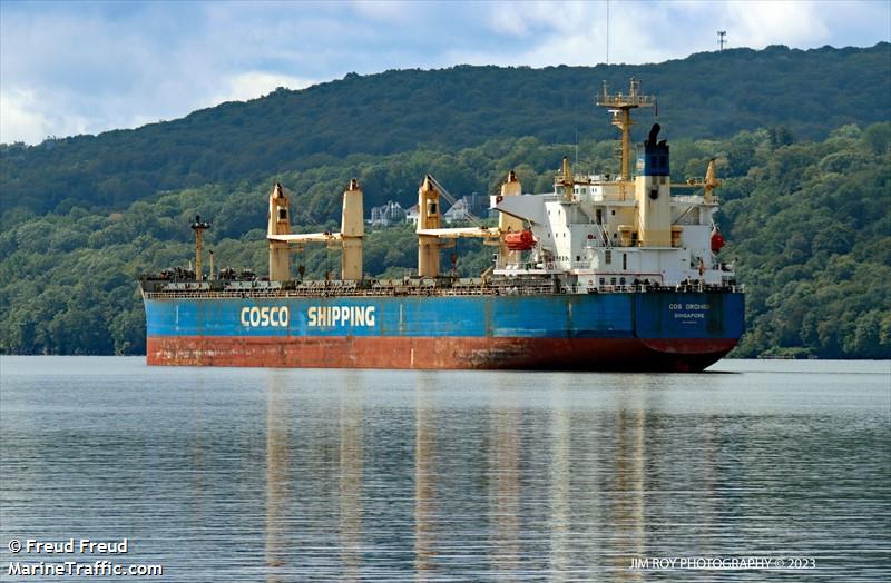 cos orchid (Bulk Carrier) - IMO 9308704, MMSI 565100000, Call Sign S6EA5 under the flag of Singapore