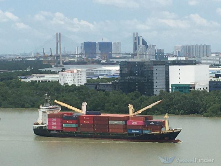 biendong fortune (Container Ship) - IMO 9336323, MMSI 574343000, Call Sign 3WNH under the flag of Vietnam